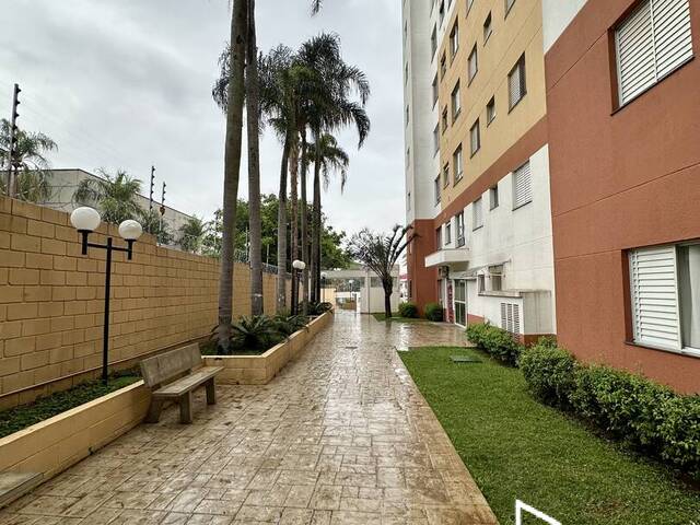 #106 - Apartamento para Venda em Sorocaba - SP - 2